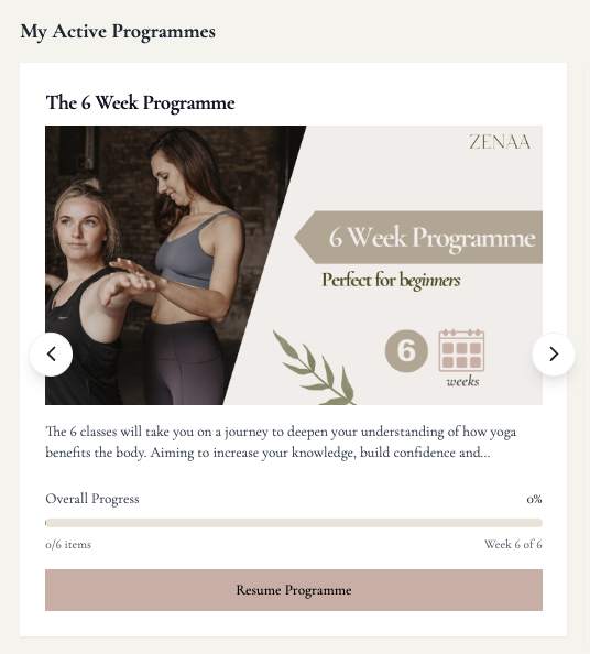Zenaa Online platform: Programmes