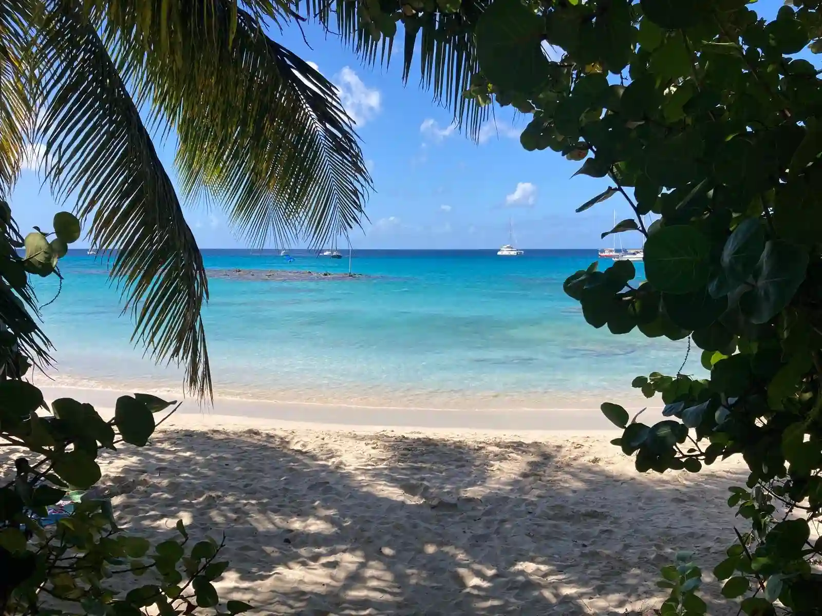 Heywoods Beach, Speightstown — turquoise water framed by palms