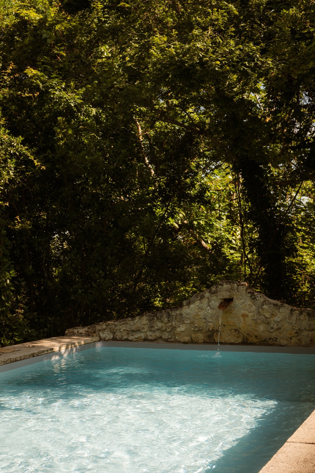 Saltwater pool surrounded by nature