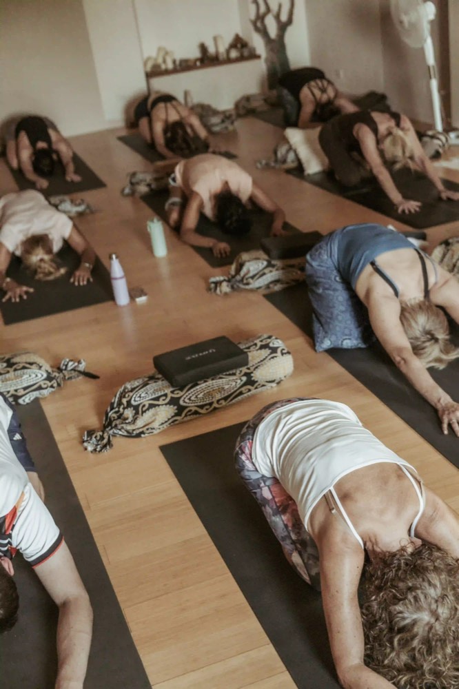 A group yoga class resting in child's pose