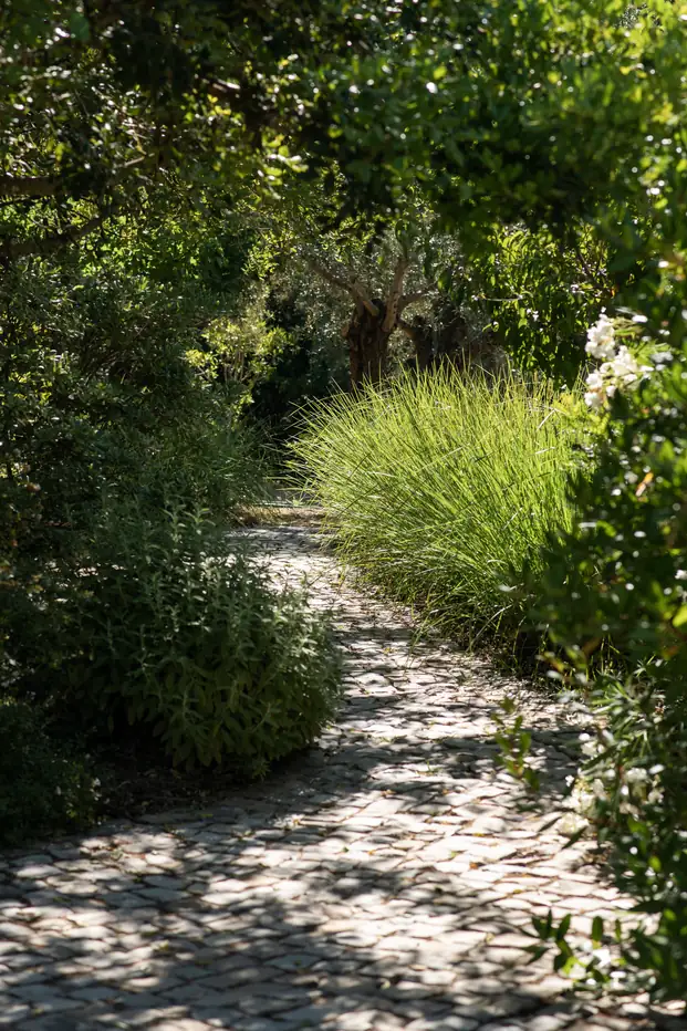 A shaded garden path through the grounds