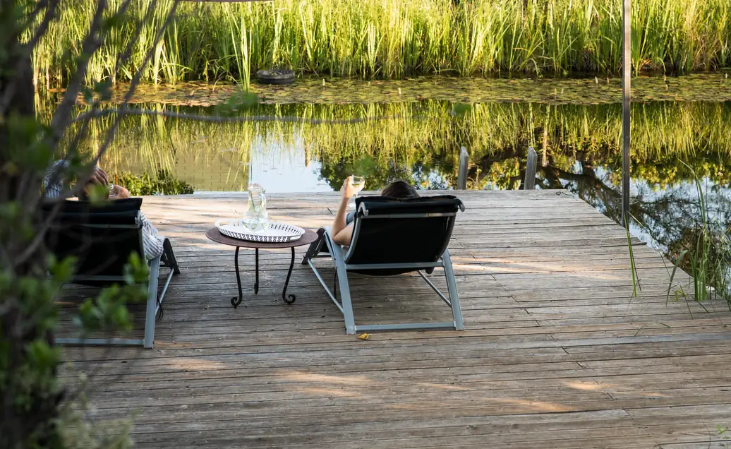Loungers on the wooden deck beside the natural swimming pond