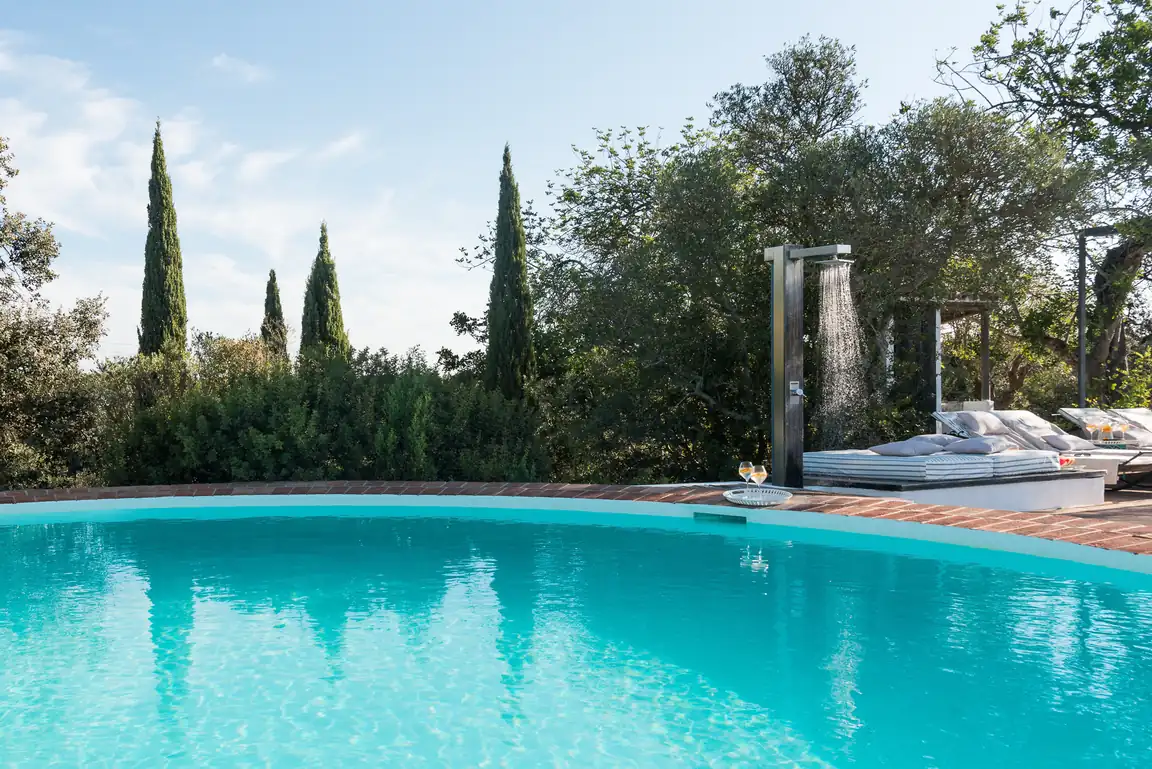 The pool framed by cypress trees and blue sky