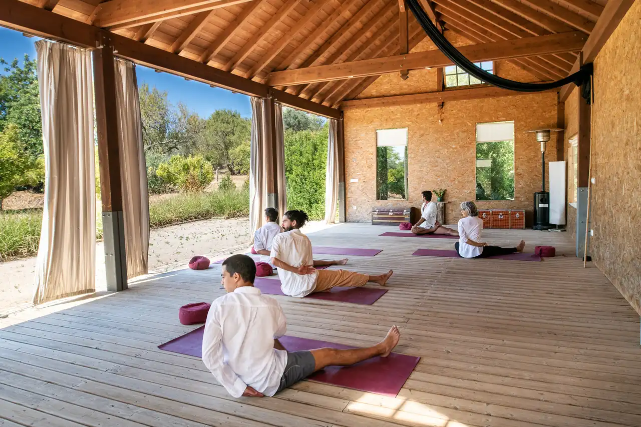 Guests practising yoga in the open-sided yoga studio overlooking the orchard