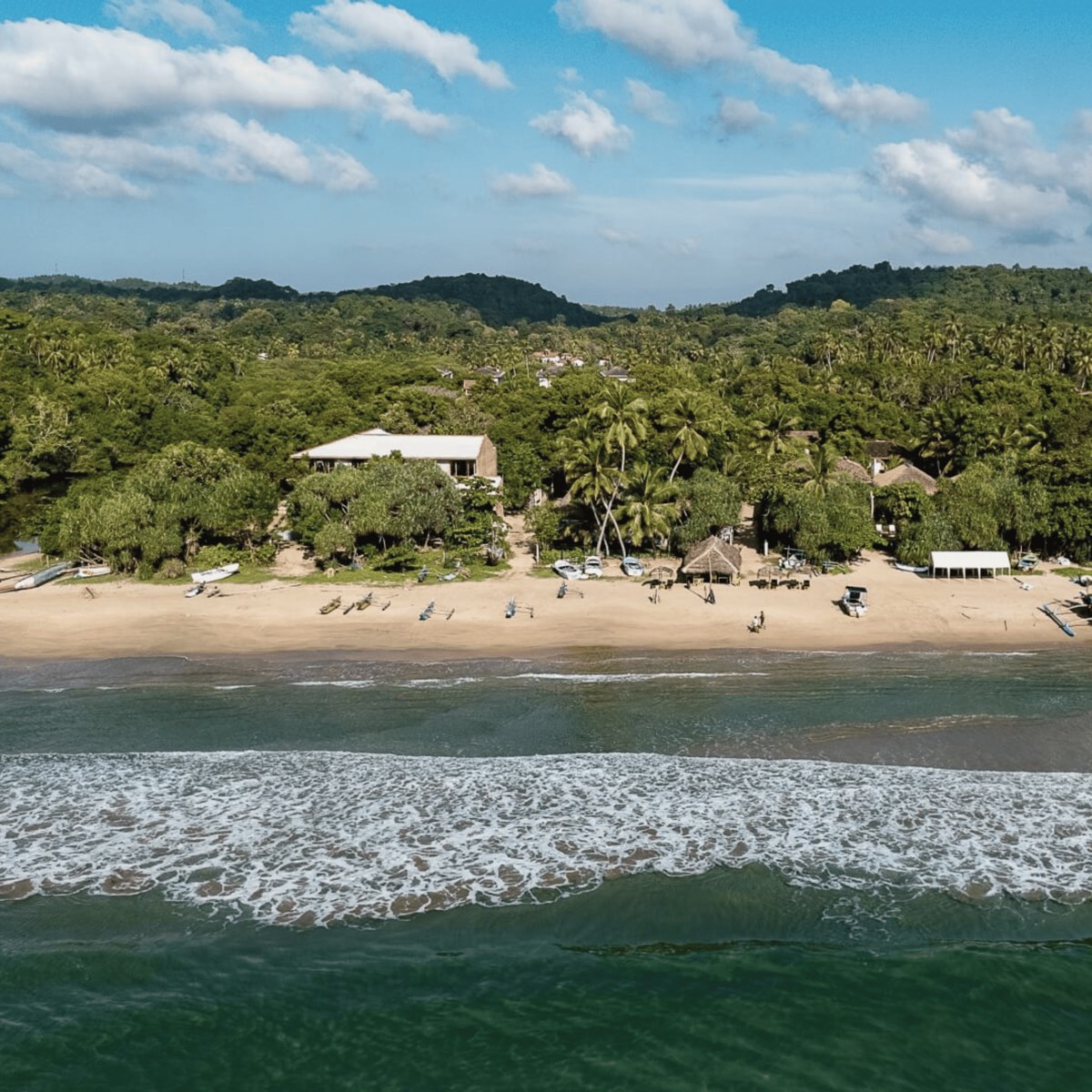 Halcyon, Tangalle