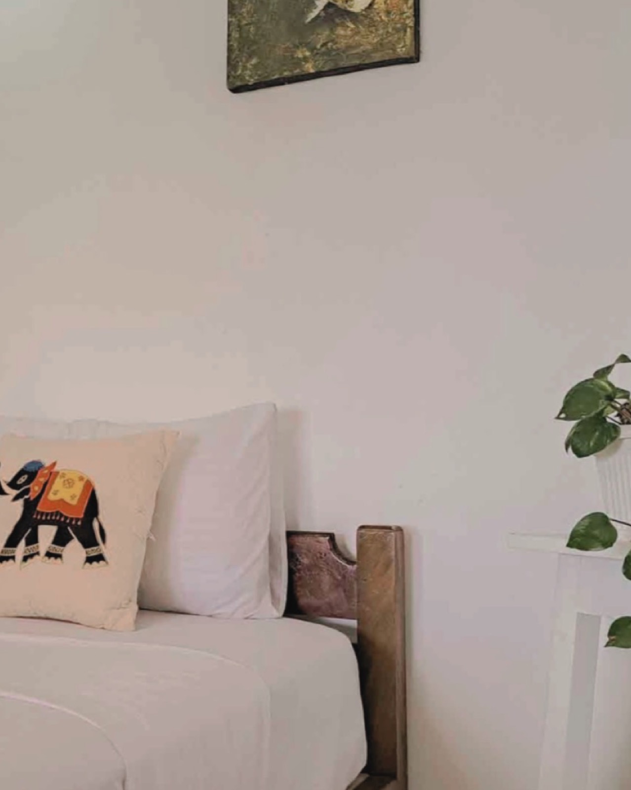 Spacious single room with tropical views